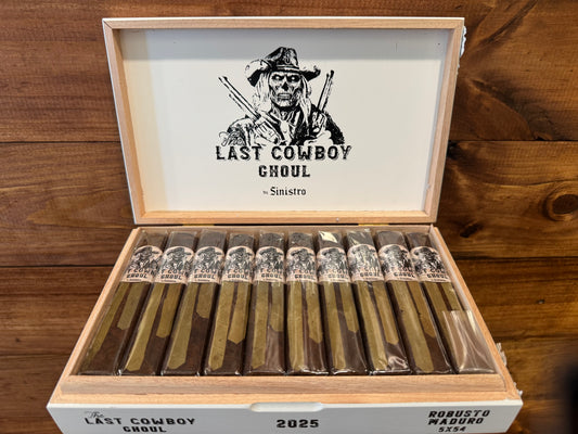 The Last Cowboy Ghoul