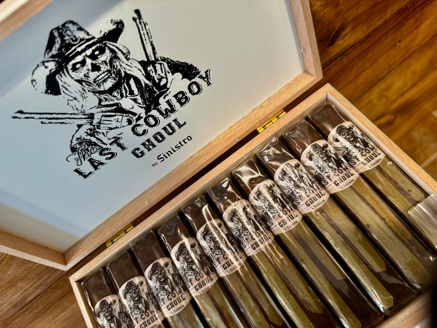 The Last Cowboy Ghoul