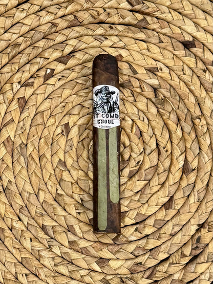 The Last Cowboy Ghoul