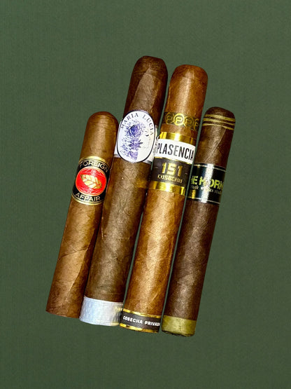 Rooted Ritual Vol. VII: Stewardship