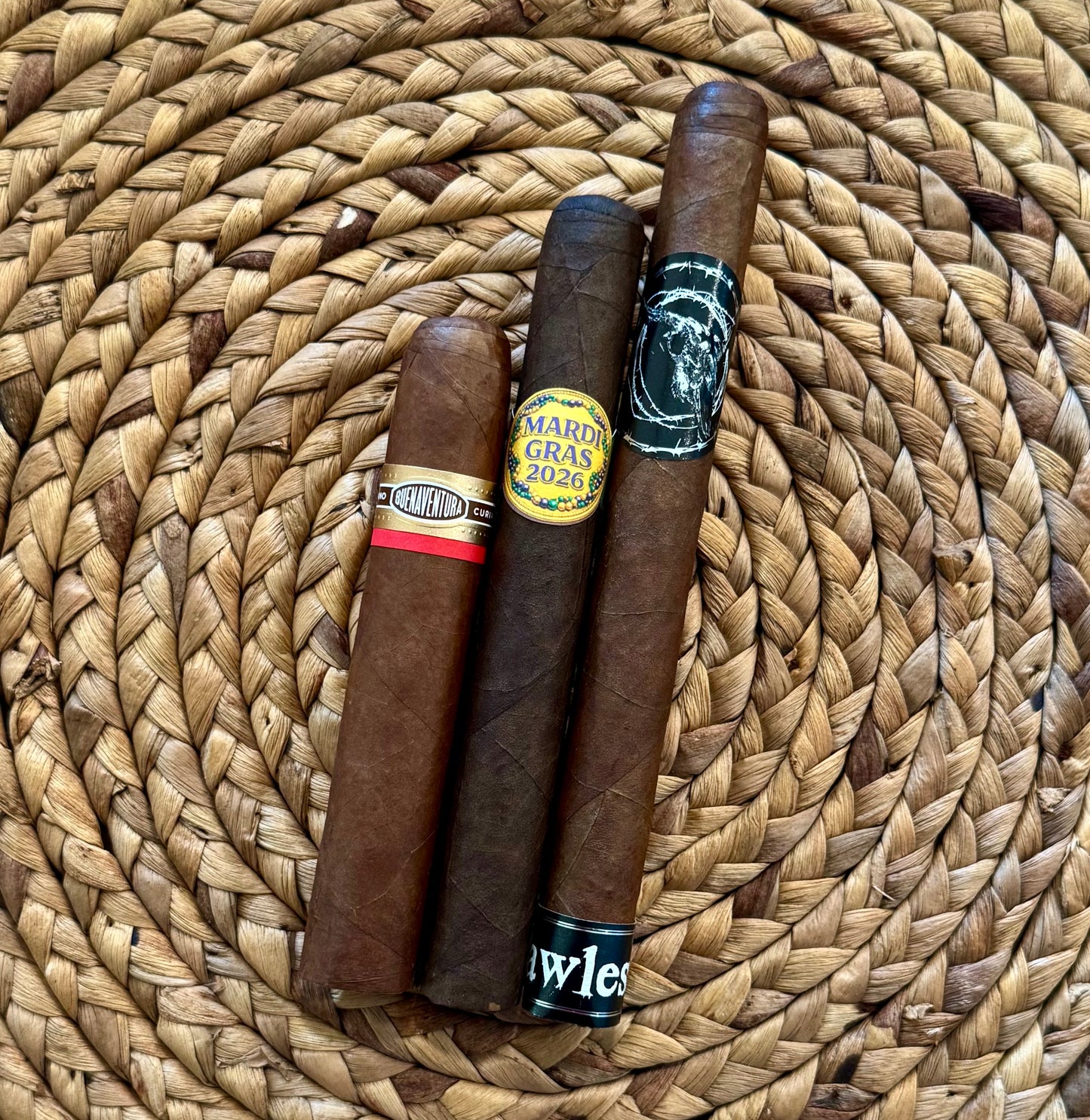 Rooted Ritual Vol. X: Anchor